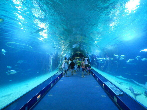 Aquarium de Barcelona